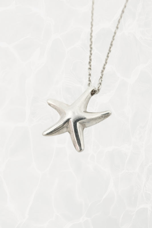 Elsa Peretti for Tiffany & Co. sterling silver starfish pendant necklace front view: sculptural starfish charm on delicate silver chain, organic natural form, Tiffany hallmark