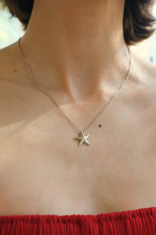 Elsa Peretti for Tiffany & Co. sterling silver starfish pendant necklace detail: close-up of sculptural starfish charm showing organic textured surface and fine sterling silver craftsmanship