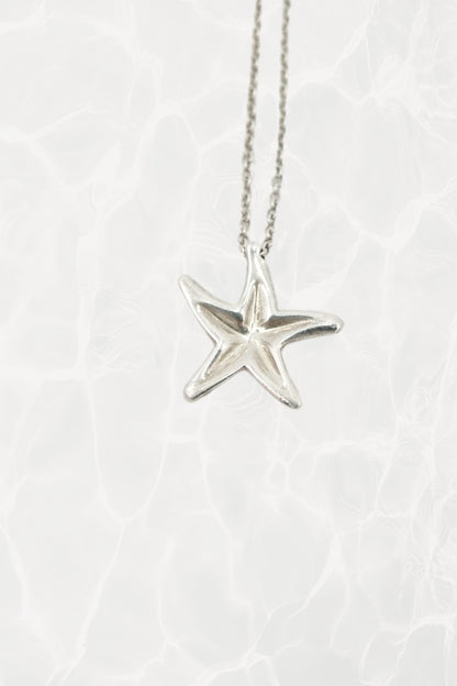 Elsa Peretti for Tiffany & Co. sterling silver starfish pendant necklace: full length view of the delicate sterling chain with sculpted starfish pendant, shown laid flat against neutral background