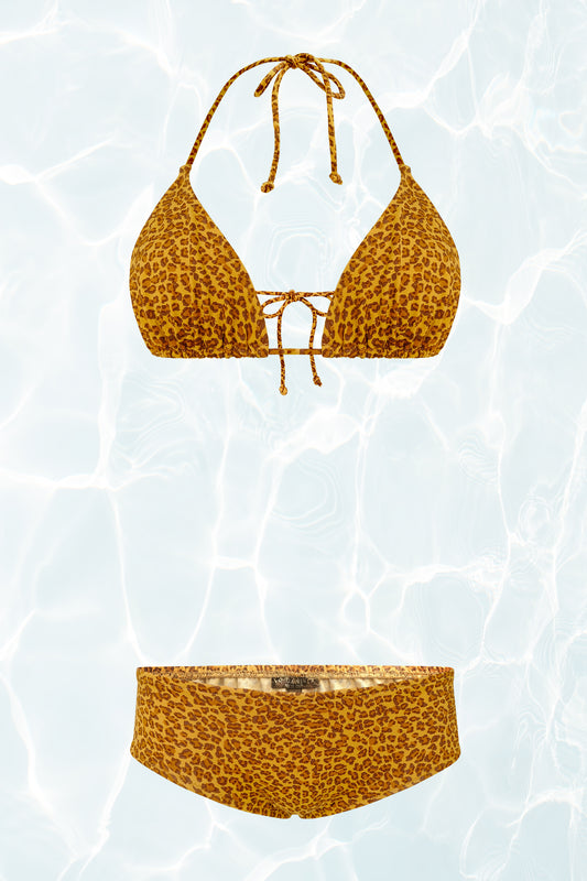 Leopard Print Bikini Set